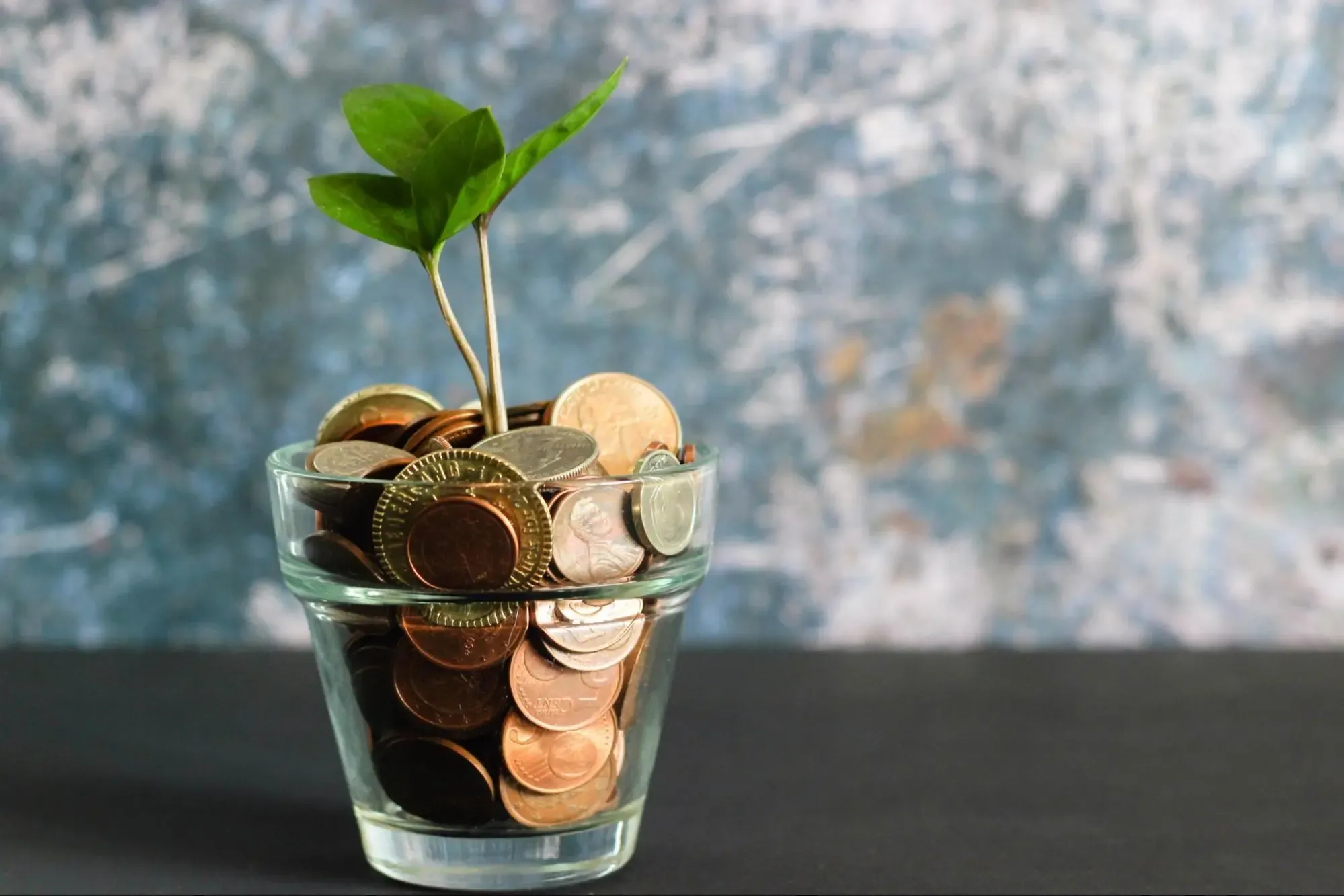 Green plant with coins